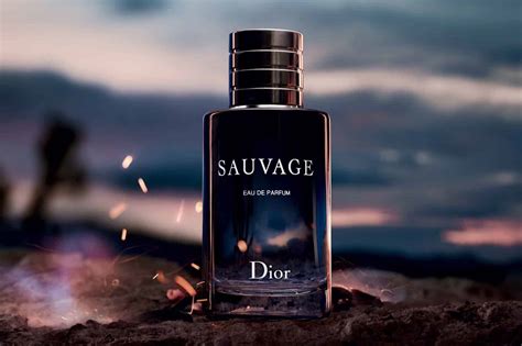 dior sauvagr parfum|Dior Sauvage best price.